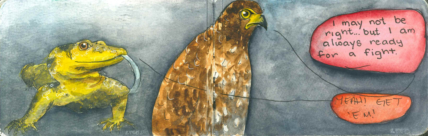 Sketchbook 10