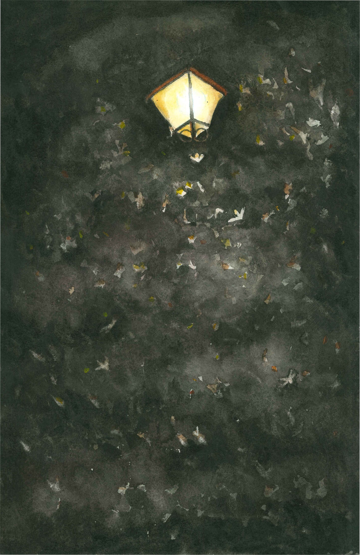 Night Bugs