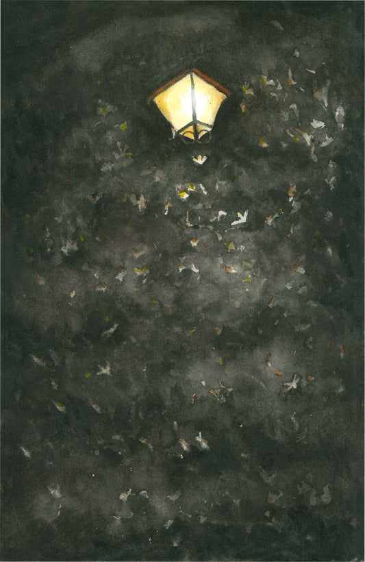 Night Bugs