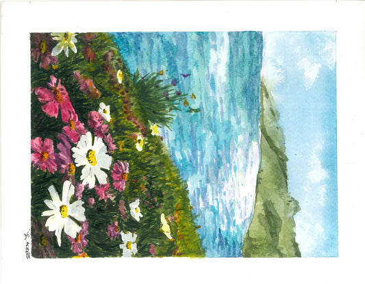 Flowers - Wild